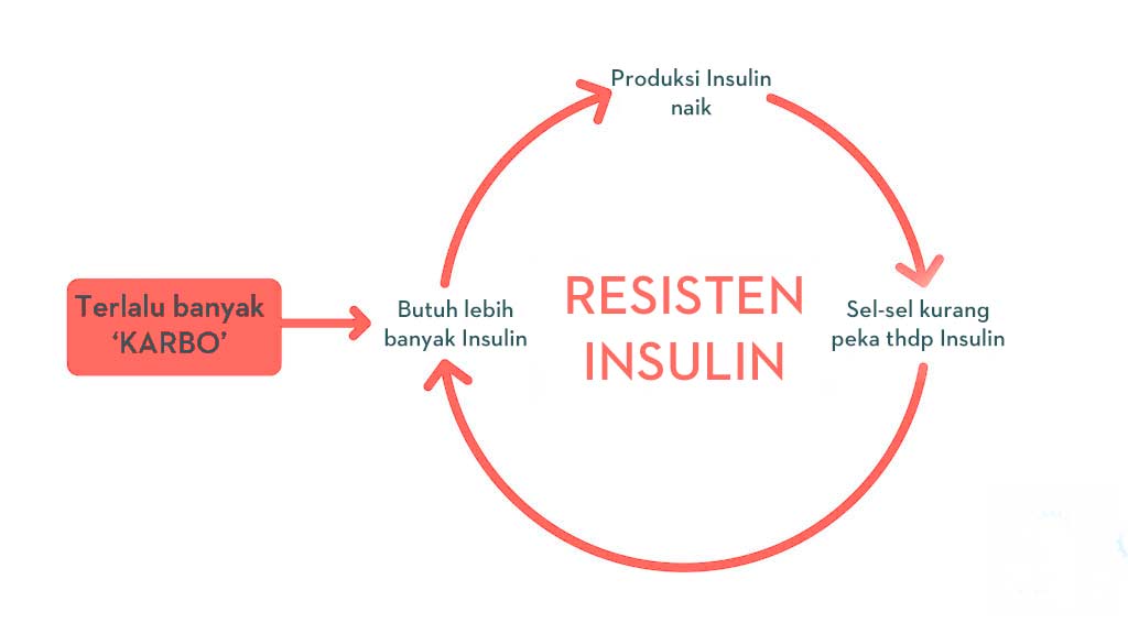 Resisten-Insulin-lingkaran-setan-gimana