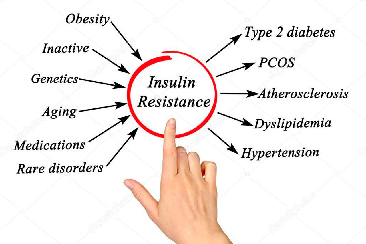 apa-HYPERISULINEMIA