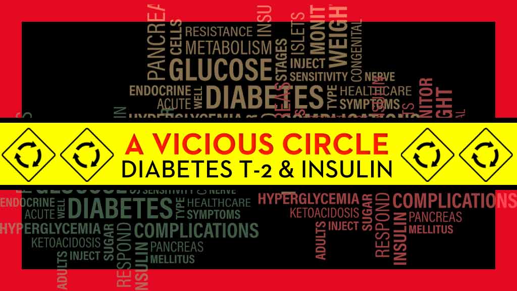 Insulin-Resistance-a-vicious-circle