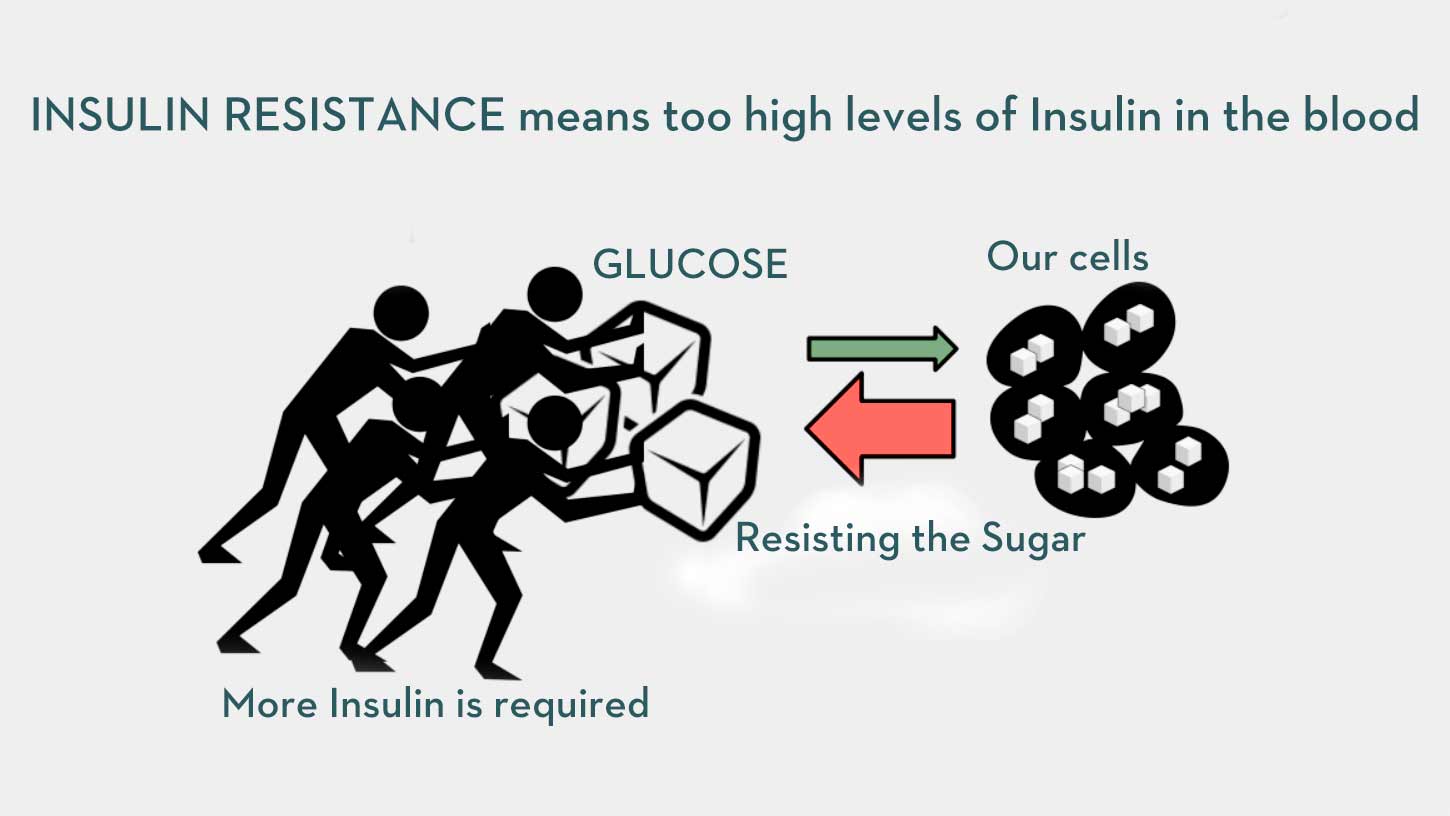 The-meaning-of-Insulin-Resistance