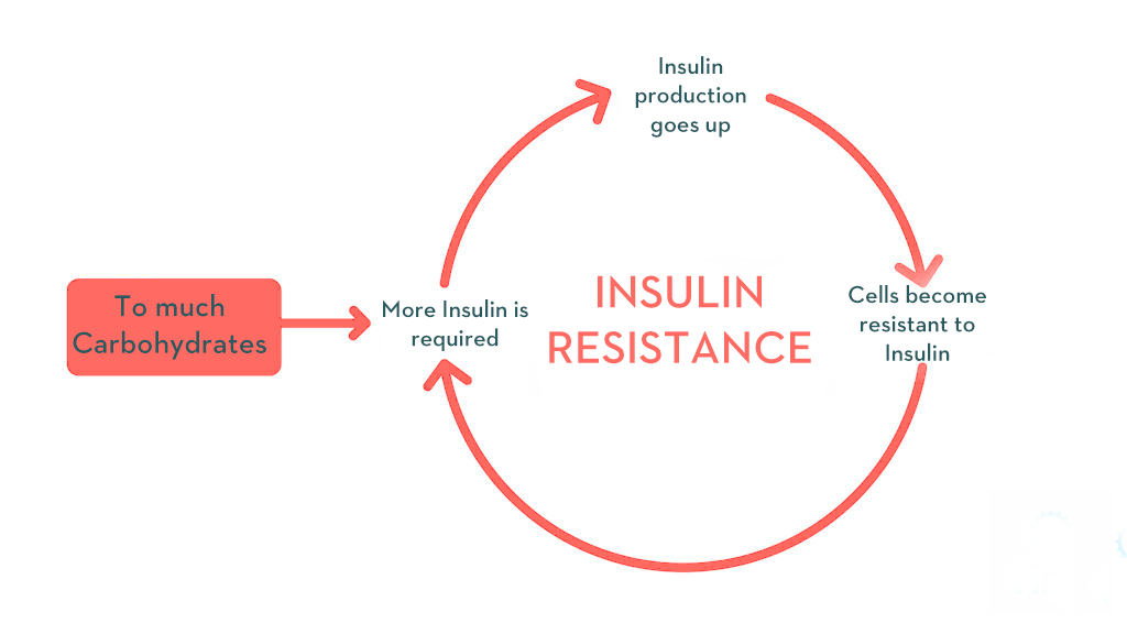 The-viscious-cycle-of-Insulin-Resistance