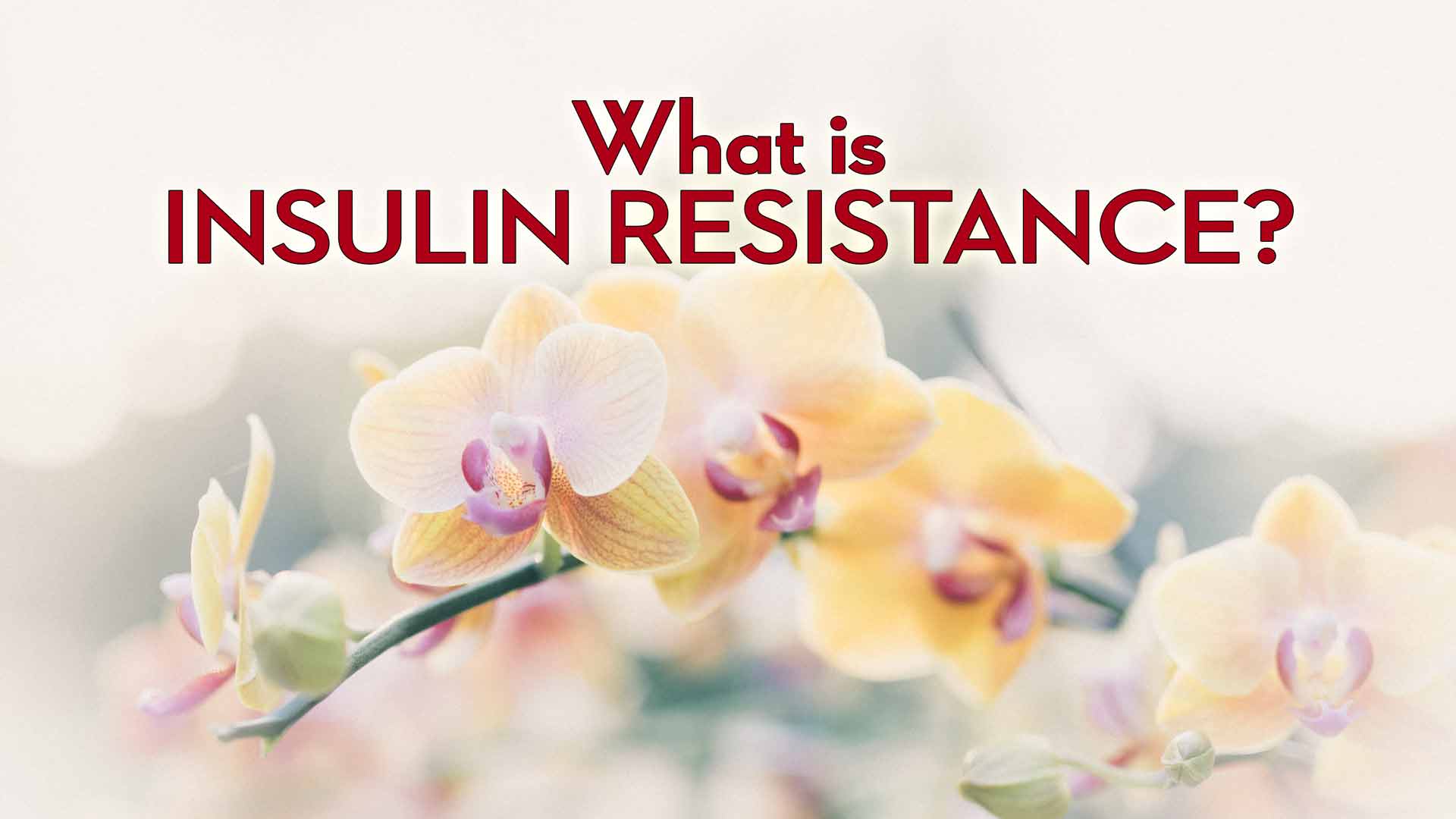 What-is-Insulin-Resistance
