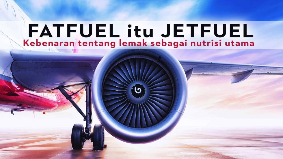 jet-fuel-lemak-sebagai-bahan-energi-untuk-tubuh-manusia