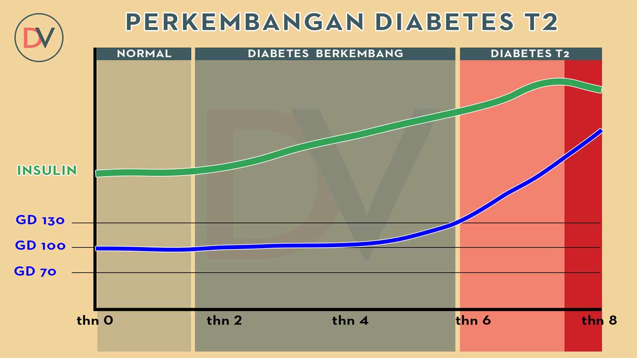 Insulin dan Diabetes T2